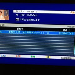 【値下げ】完動品 ブルーレイドライブ BDR-L06MT 内蔵 三菱REAL LCD-32BHR300 32インチの画像