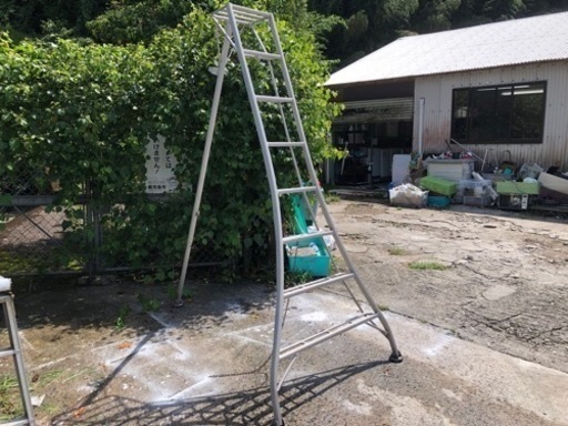 リサイクルサービス八光 田上店】7段 はしご