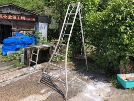 リサイクルサービス八光 田上店】7段 はしご