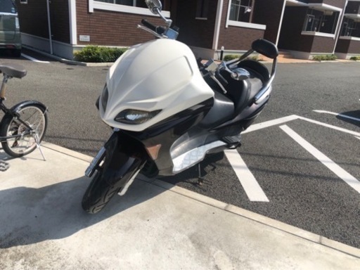 フォルツァ　08後期