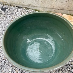 睡蓮鉢☺︎めだか鉢メダカ鉢