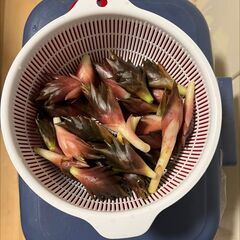 好きな食べ物の趣味を共有する