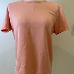 Ｔシャツ２点で100円の画像