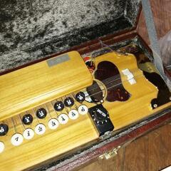 お値下げ❗大正琴セットの画像