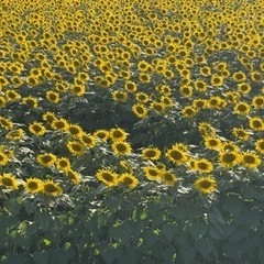初心者ダンス教室☀️