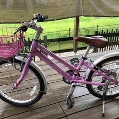 ルイガノ  子供　J20 plus 