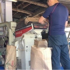 新米コシヒカリ　5kg、10kg、30kg 　配達無料　宇都宮　...