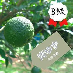【Ｂ級品 １０ｋｇ】タカミヤカボスの青ゆず