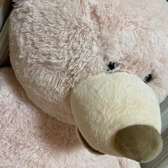 コストコくま ピンクの画像