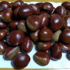 栗　700kg