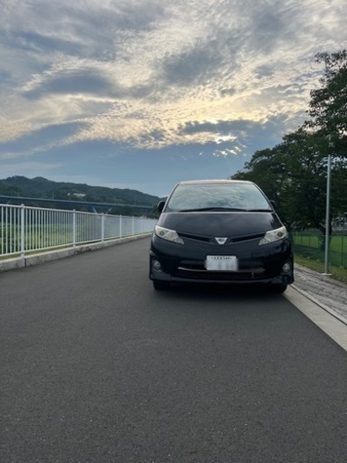 エスティマ50中期