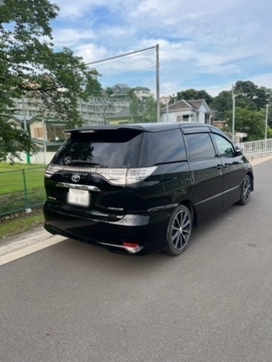 エスティマ50中期