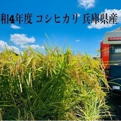 令和4年度 兵庫県産コシヒカリ 玄米30キロ