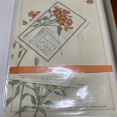 便箋、封筒、葉書などの画像