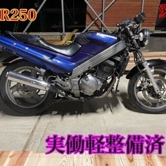ZZR250 ネイキッド仕様　実働軽整備済　愛知