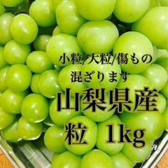 シャインマスカット　粒売り　山梨県産