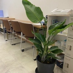 【利用者さん募集】奈良市の就労継続支援B型事業所【新設】 − 奈良県