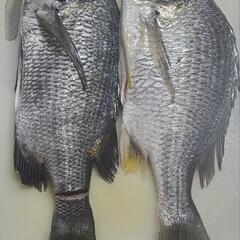 ✨釣りメン＆YouTube投稿✨