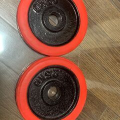交換用　2.5kg 鉄製プレート2枚