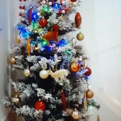 クリスマスツリー🎄の画像