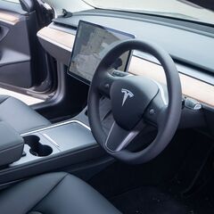【24時間￥11,000～】テスラ試乗・レンタル(電気自動車レンタル専門店)　モニターキャンペーン実施中！ - その他