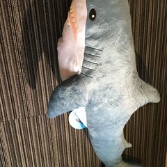 ぬいぐるみ１