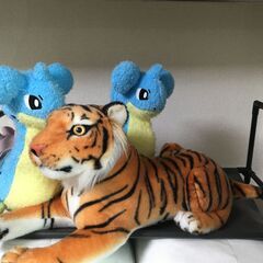 ぬいぐるみ３