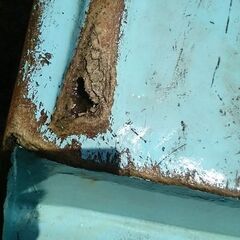 釣りに、テンダーにどうでしょうか！の画像