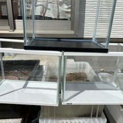 【中古】水槽・ヒーター等飼育セット【清掃済】