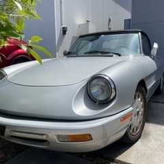 ALFA アルファロメオ スパイダーベローチェの画像