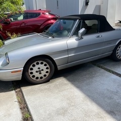 ALFA アルファロメオ スパイダーベローチェの画像