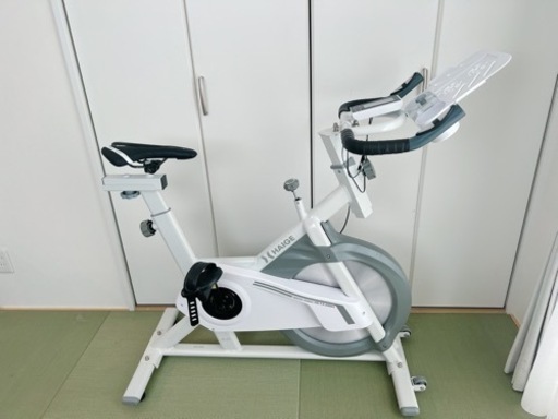 スピンバイク HAIGE ハイガー HG-YX-5006S エアロバイク エクササイズ