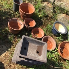 植木鉢(中)