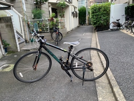 ルイガノ　黒　緑　フレーム37