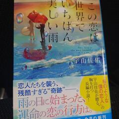 小説 この恋は世界でいちばん美しい雨