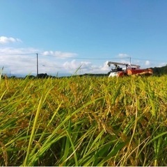 令和3年産一等米コシヒカリ30キロ(玄米)