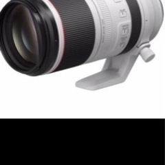 CANON RF100-500mm F4.5-7.1 L IS USM