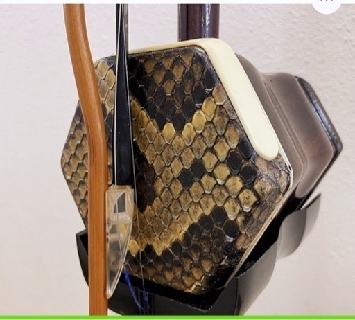 二胡 販売済み 本蛇皮 弦楽器 ケース付き