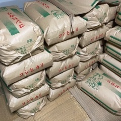 4年度 コシヒカリ　20キロ