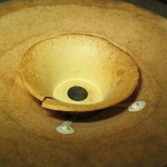 FOSTEX　FE-167の画像