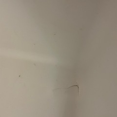 イグルー　クーラーボックス45リットルの画像