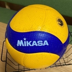 MIKASA スポーツの中古が安い！激安で譲ります・無料であげます