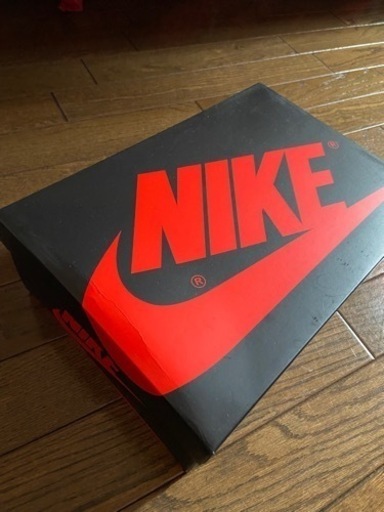 Nike Air Jordan 1 Low OG 