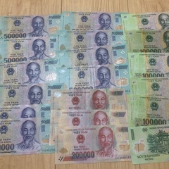 ベトナム　ドン　外貨
