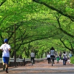 【※最近運動していない人必見】朝の時間で○○しましょ🍀