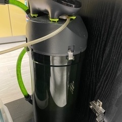 【本日まで受付！】ワイルドオスカー　水槽、水槽台、外部濾過など一式　オスカー単体も可の画像