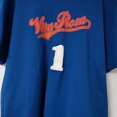 【応援グッズ】大阪ソフトバレーの人気チームの１つ『ヴィータローザ...