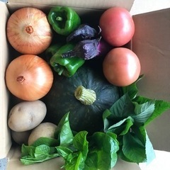 シングルマザー限定⭐︎自家栽培野菜無料プレゼント