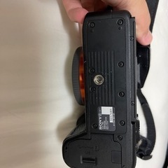 SONY ‪α‬7Ⅲ の画像