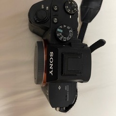 SONY ‪α‬7Ⅲ の画像